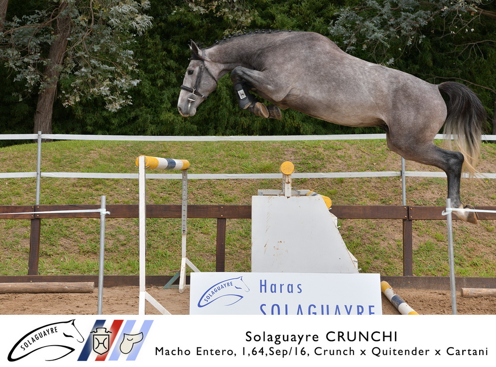 SOLAGUAYRE CRUNCHI